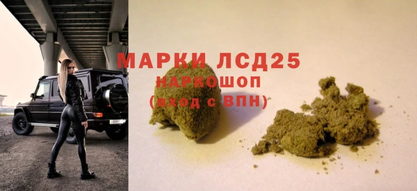 хмурый Осинники