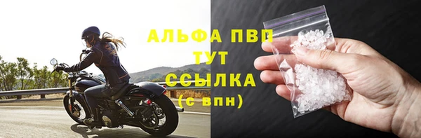 хмурый Осинники