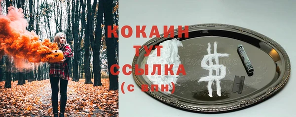 хмурый Осинники