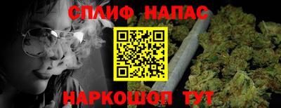 прущие крисы Гатчина