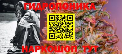 скорость Гагарин