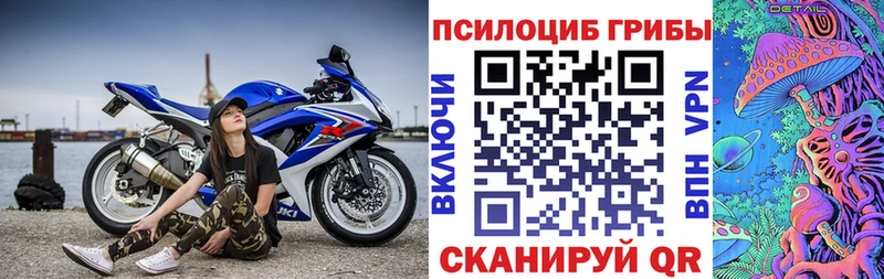 Псилоцибиновые грибы Psilocybe Балашов