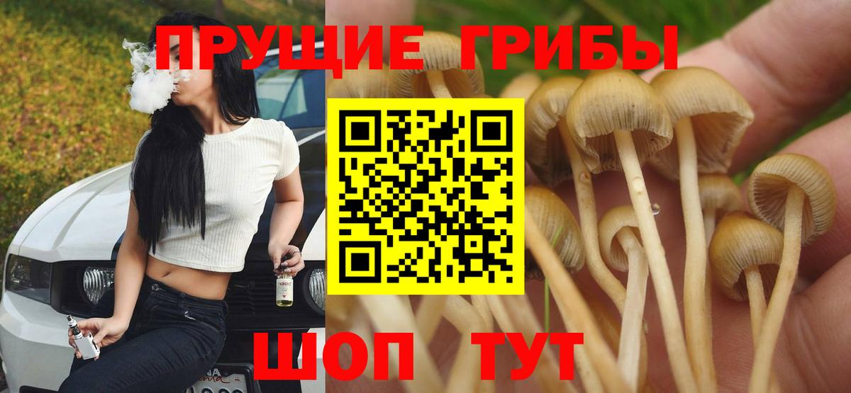 Галлюциногенные грибы Magic Shrooms Балашов