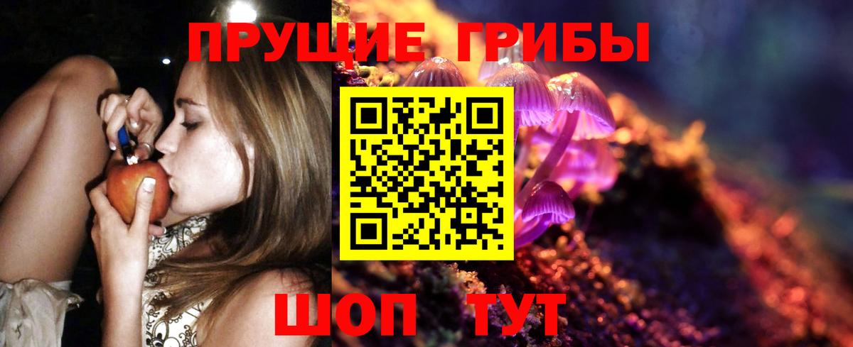 Псилоцибиновые грибы GOLDEN TEACHER  Вход с VPN  Балашов 